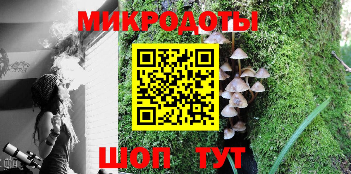 Псилоцибиновые грибы Cubensis Саяногорск