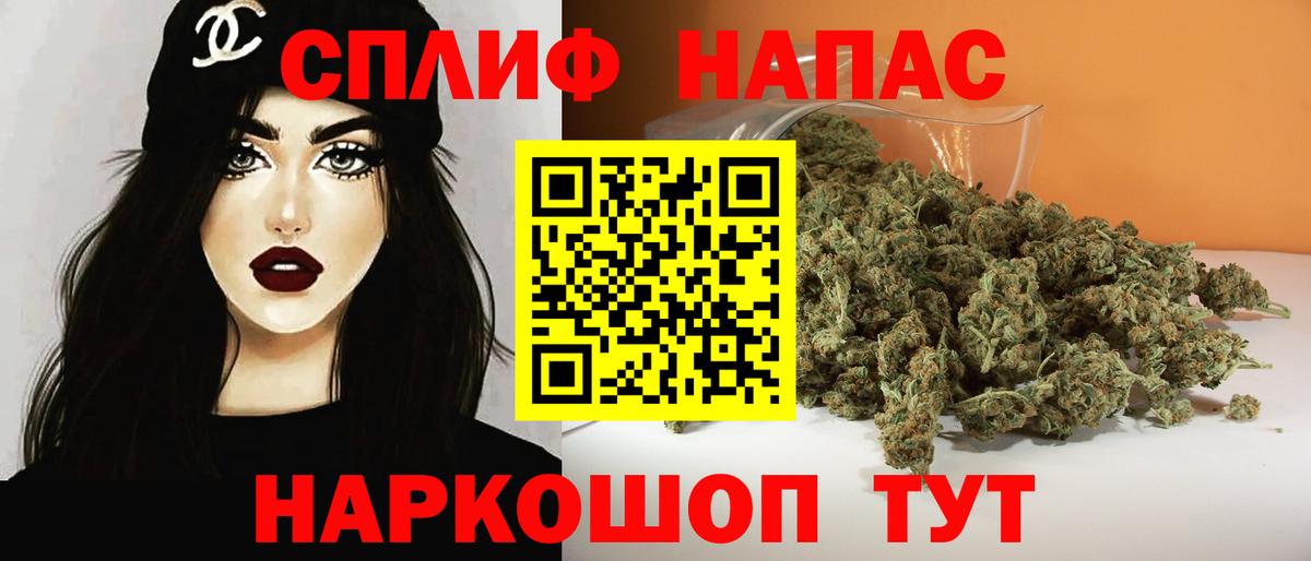 Бошки Шишки семена Саяногорск